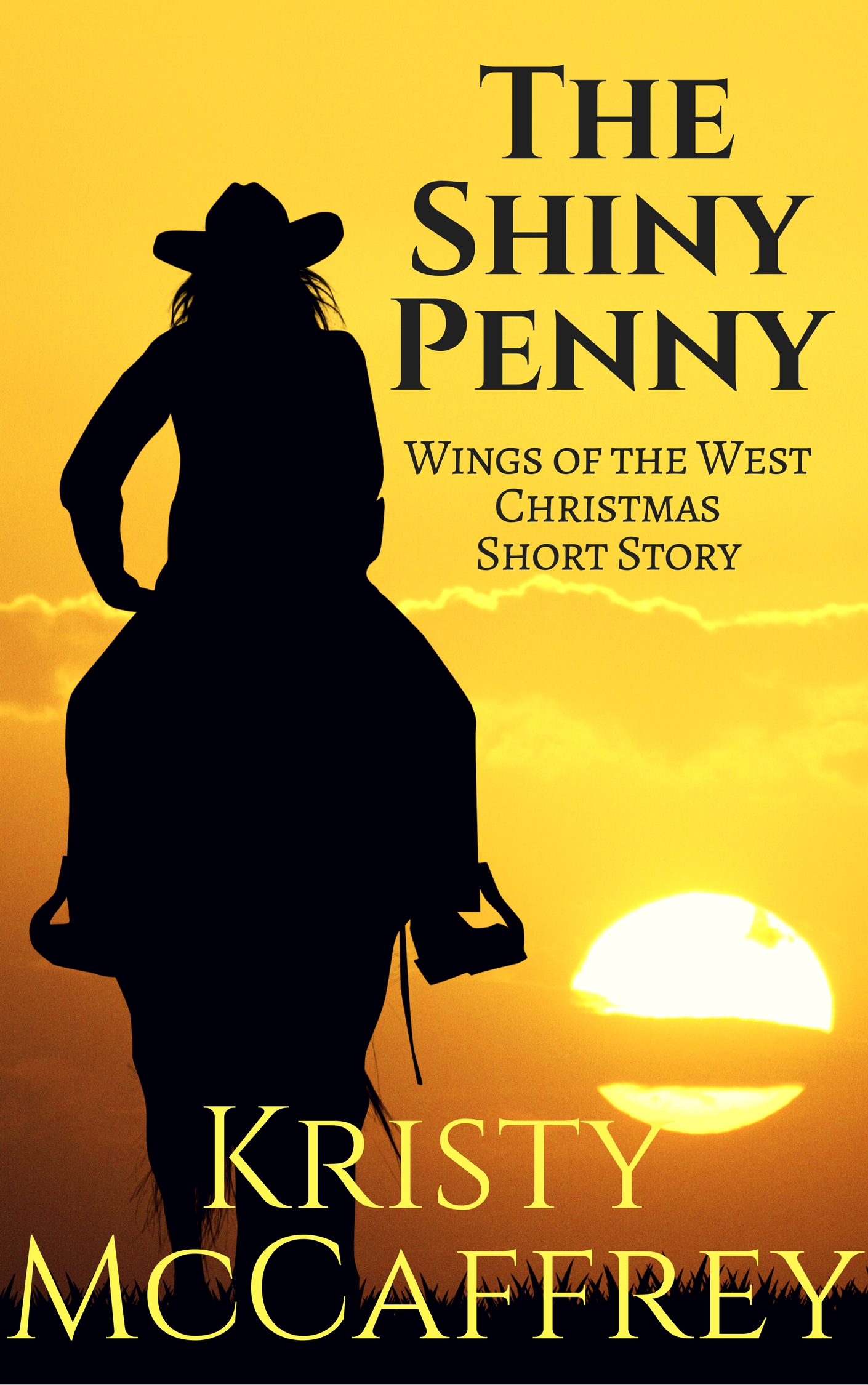The Shiny Penny Cover
